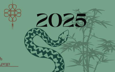 Benvenuto nell’anno del Serpente di Legno Yin